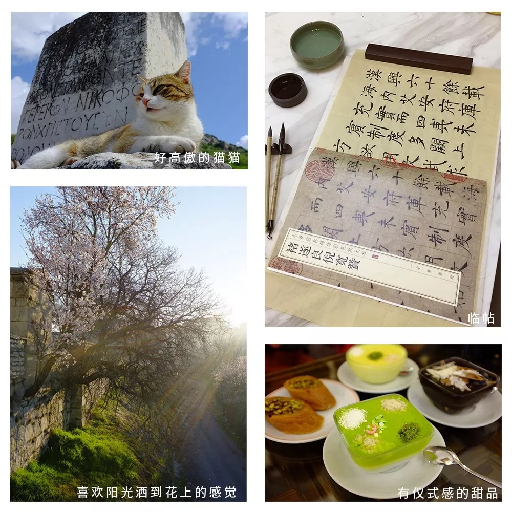 15.webp.jpg 15.webp.jpg